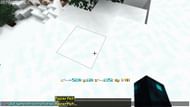 Teleport command for teleporting pigs to the player's location in Minecraft (Image via Mojang)
